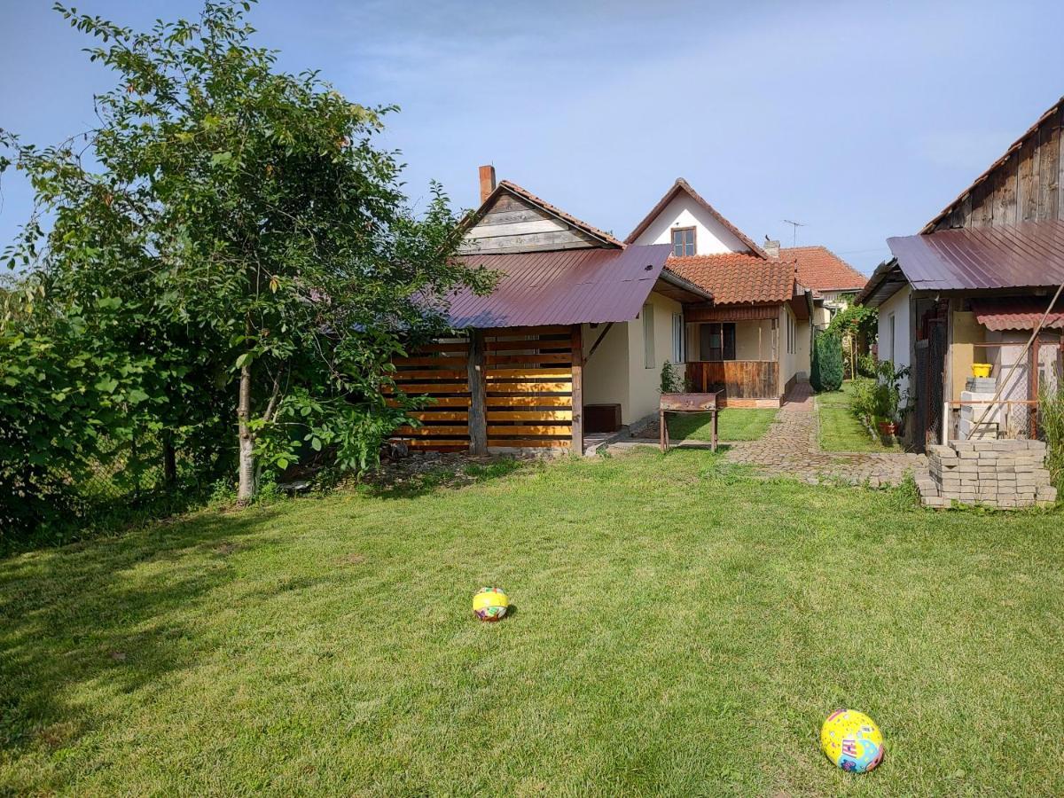 Făgăraş Vicky House 아파트 외부 사진