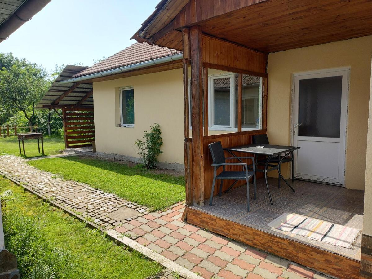 Făgăraş Vicky House 아파트 외부 사진